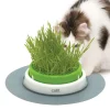 Cat it Hierba Gatera | Juguetes^Senses 2.0 Grass Planter