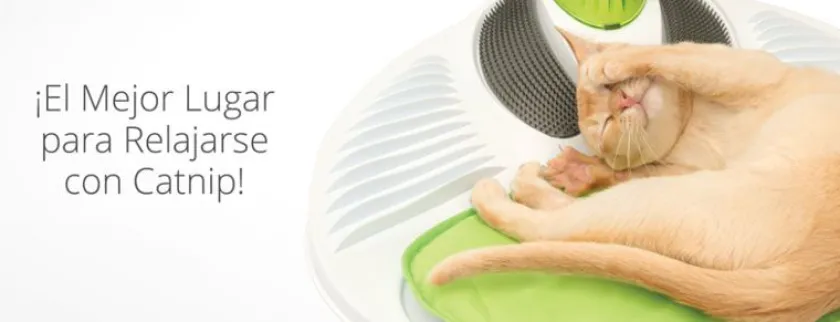 Cat it Relajación Para Gatos | Juguetes^Senses 2.0 Wellness Center