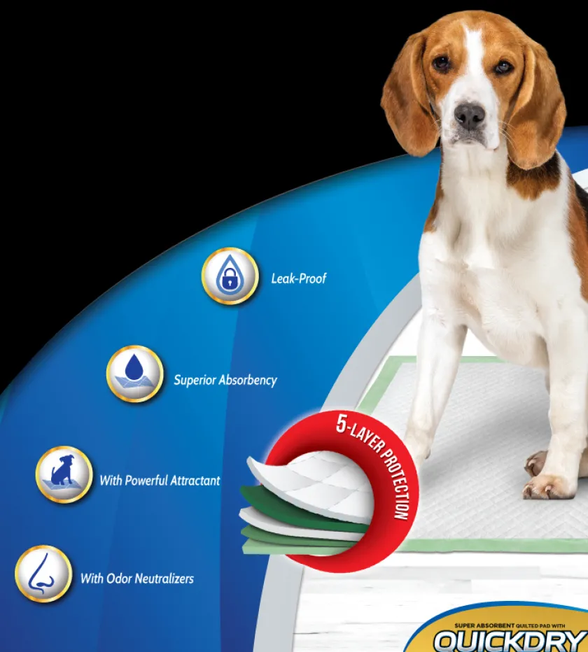 Dog It Carpetas De Entrenamiento^Carpeta Orientadora Small 30 Unidades