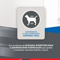 Excellent Adultos (1 A 7 Años)^Cat Adult 7,5 kg