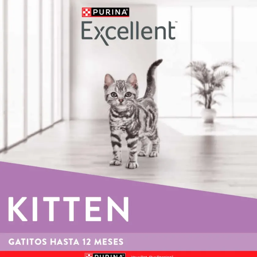 Excellent Gatitos (0 A 12 Meses)^Cat Kitten 1 kg