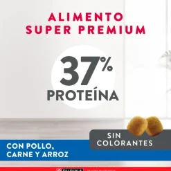 Excellent Gatitos (0 A 12 Meses)^Cat Kitten 1 kg