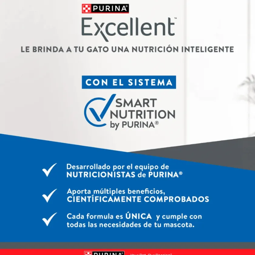 Excellent Gatitos (0 A 12 Meses)^Cat Kitten 1 kg