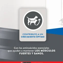 Excellent Gatitos (0 A 12 Meses)^Cat Kitten 1 kg