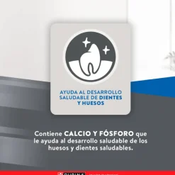 Excellent Gatitos (0 A 12 Meses)^Cat Kitten 1 kg