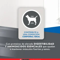 Excellent Adultos (1 A 7 Años)^Cat Urinary 7,5 kg