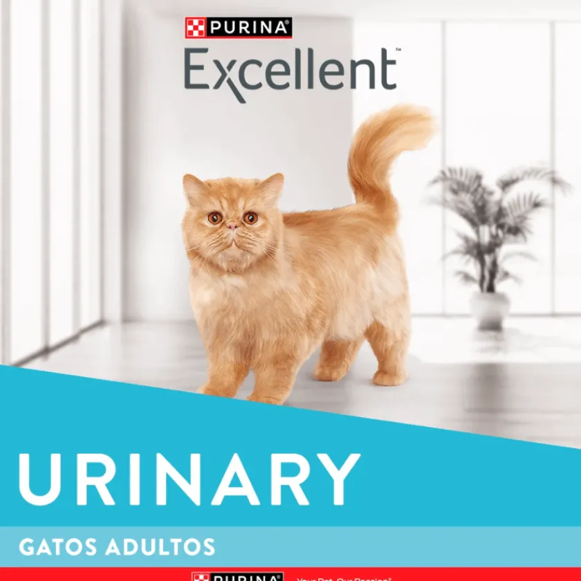 Excellent Adultos (1 A 7 Años)^Cat Urinary 1kg
