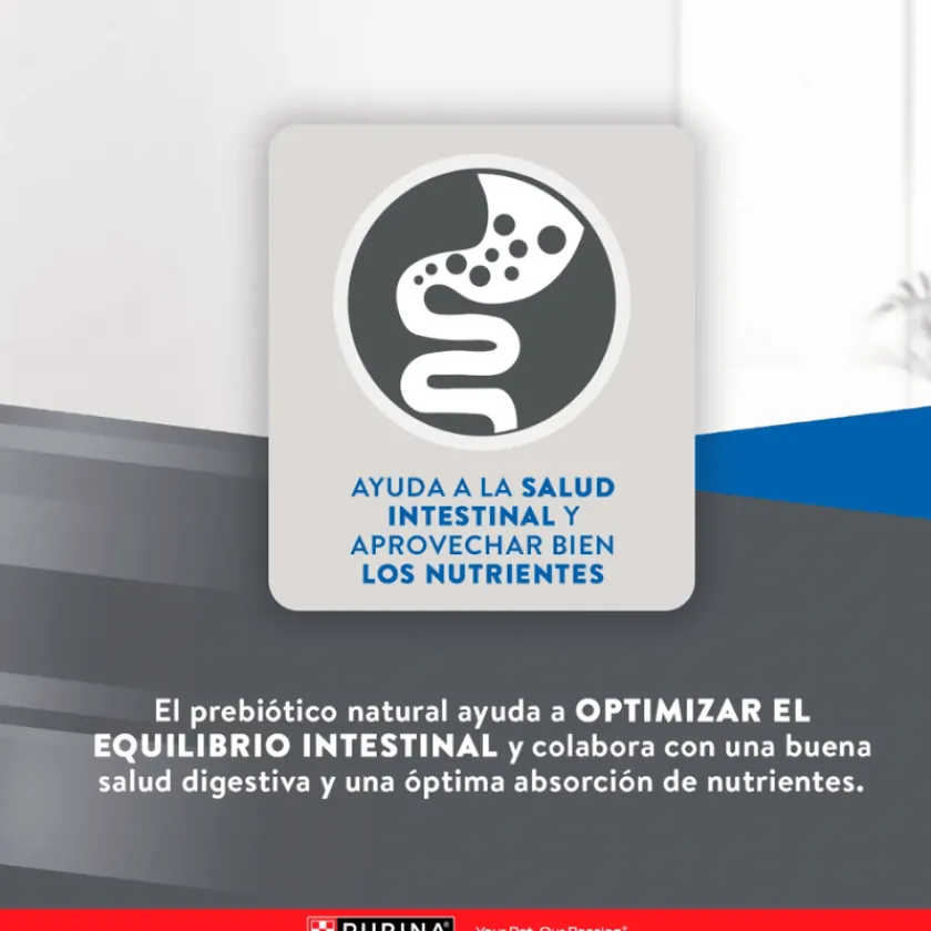 Excellent Adultos (1 A 7 Años)^Cat Urinary 1kg