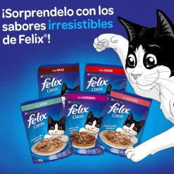 Felix - Purina Húmedos^Felix Adultos Atún en Salsa 85gr