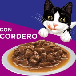 Felix - Purina Húmedos^Felix Adultos Cordero en Salsa 85gr Pack 15 Unidades