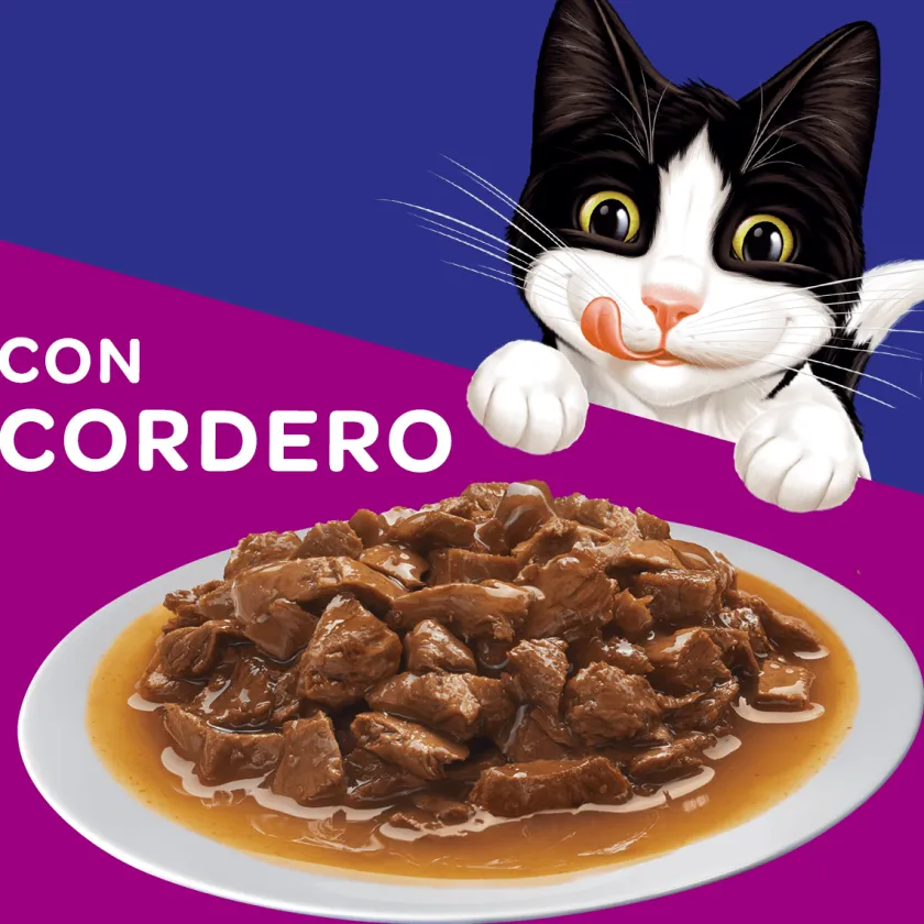 Felix - Purina Húmedos^Felix Adultos Cordero en Salsa 85gr