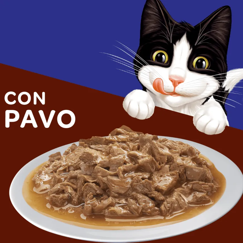 Felix - Purina Húmedos^Felix Adultos Pavo en Salsa 85gr