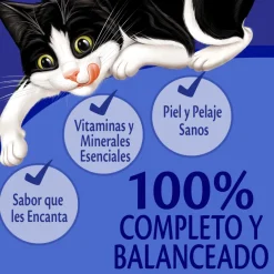 Felix - Purina Húmedos^Felix Adultos Pollo 85gr Pack 15 Unidades