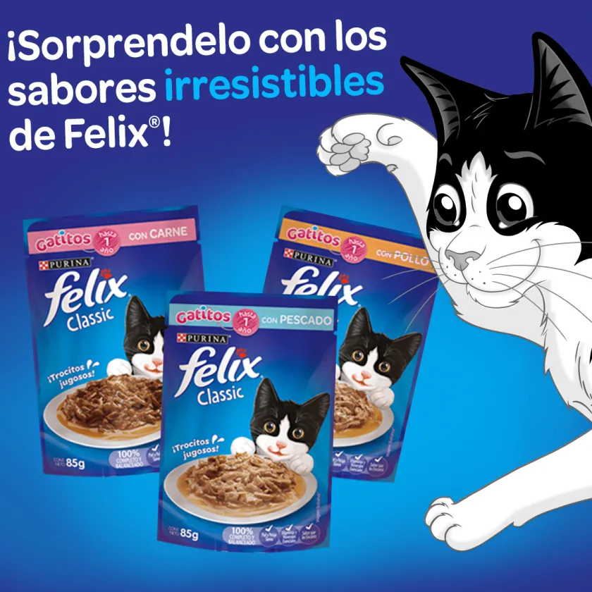 Felix - Purina Húmedos^Felix Gatitos Carne en Salsa 85gr Pack 15 Unidades