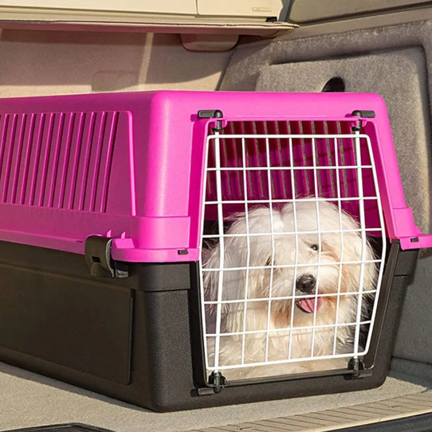 Ferplast Casas Y Transportadoras Para Gatos | Casas Y Transportadoras Para Perros^Transportador Atlas 10 (hasta 5Kg)
