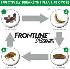 Frontline Antipulgas Y Garrapatas^Plus Pipetas Gatos