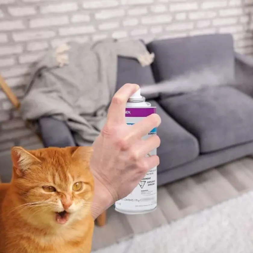 Gigwi Repelentes | Higiene Y Aseo^Hagen Repelente en Spray de Gatos en interiores