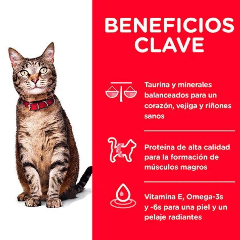 Hills Adultos (1 A 7 Años)^Cat Adult 1-6 3.17kg