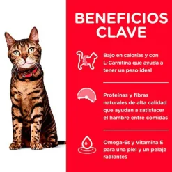 Hills Control Peso^Cat Adult Light 3.17kg