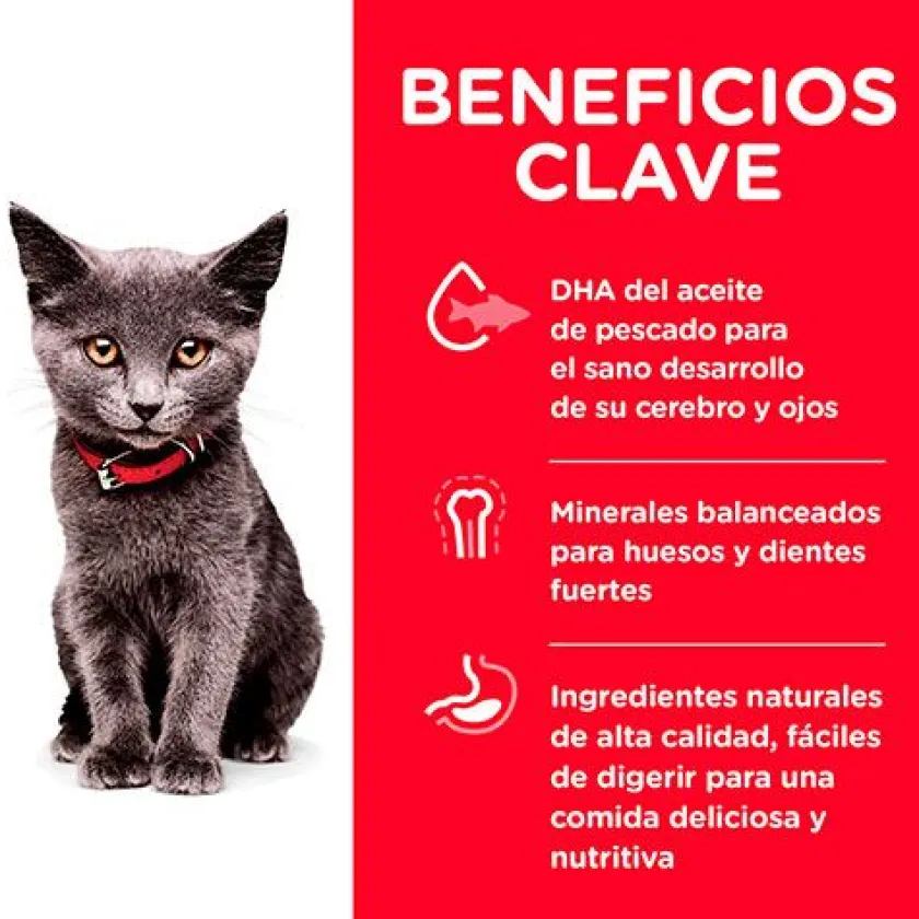 Hills Gatitos (0 A 12 Meses)^Cat Kitten Indoor 3.17kg