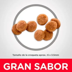 Hills Gatitos (0 A 12 Meses)^Cat Kitten 3.17kg