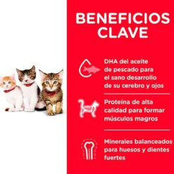 Hills Gatitos (0 A 12 Meses)^Cat Kitten 3.17kg