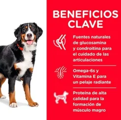Hills Adultos (1 A 7 Años)^Dog Adult Large 15kg