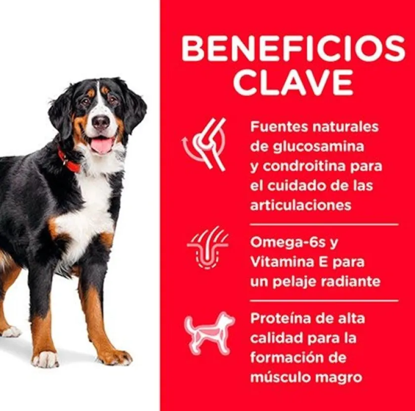 Hills Adultos (1 A 7 Años)^Dog Adult Large 15kg