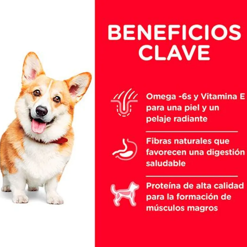 Hills Adultos (1 A 7 Años)^Dog Adult Small 6.8kg