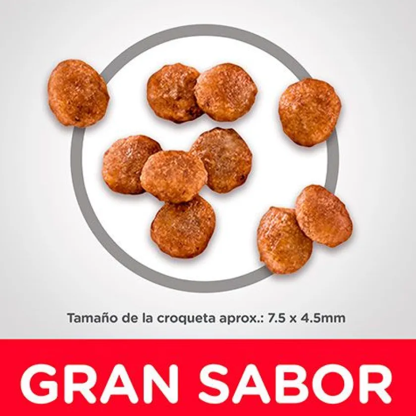 Hills Adultos (1 A 7 Años)^Dog Adult Small Paws 2.04kg