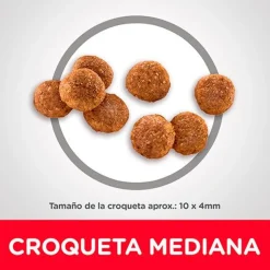 Hills Cachorros (0 A 12 Meses)^Dog Puppy 7.03kg