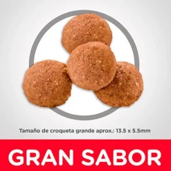 Hills Cachorros (0 A 12 Meses)^Dog Puppy Large 13.6kg