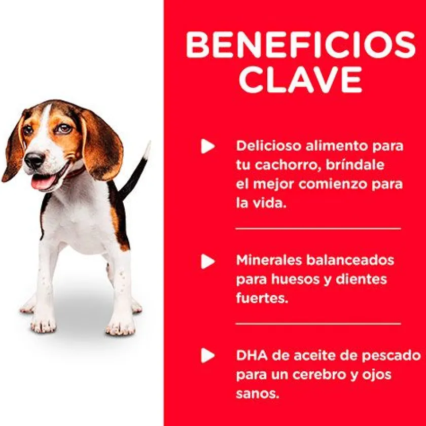 Hills Húmedos^Dog Puppy Pollo y Cebada 370gr Pack 12 Unidades