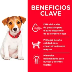Hills Cachorros (0 A 12 Meses)^Dog Puppy Small 2.04kg