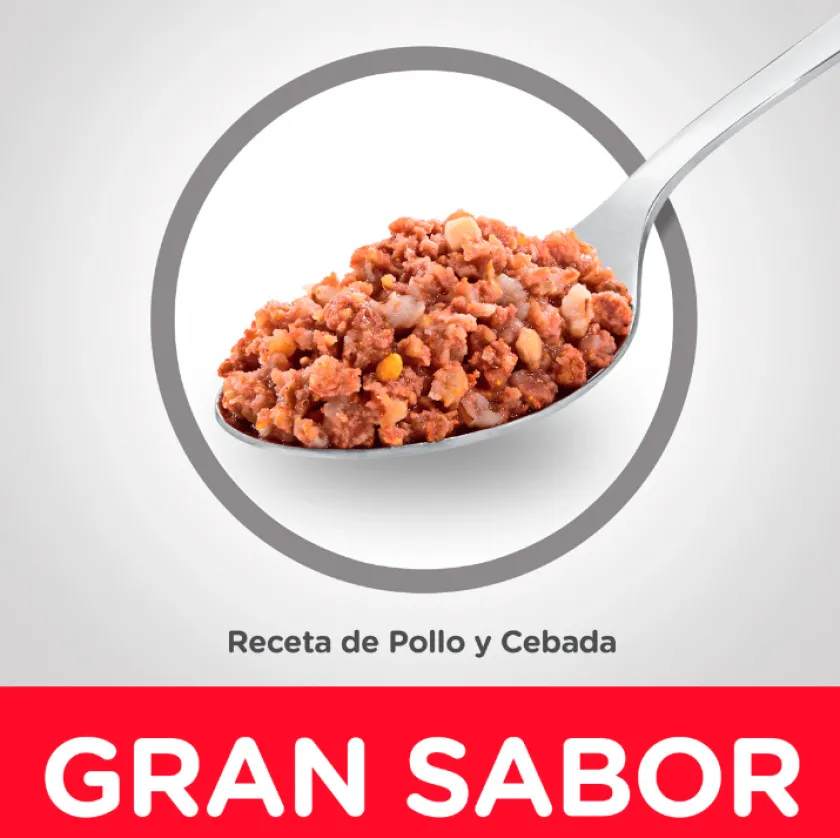 Hills Húmedos^Dog Senior Lata Pollo y Cebada 370gr
