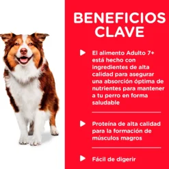 Hills Húmedos^Dog Senior Lata Pollo y Cebada 370gr X 12 Unidades