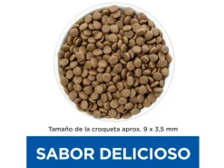 Hills Alimentación Medicada^Gato Gastrointestinal Biome 1,8kg