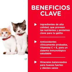 Hills Húmedos^Lata Cat Kitten - Receta de Higado de Pollo 156gr