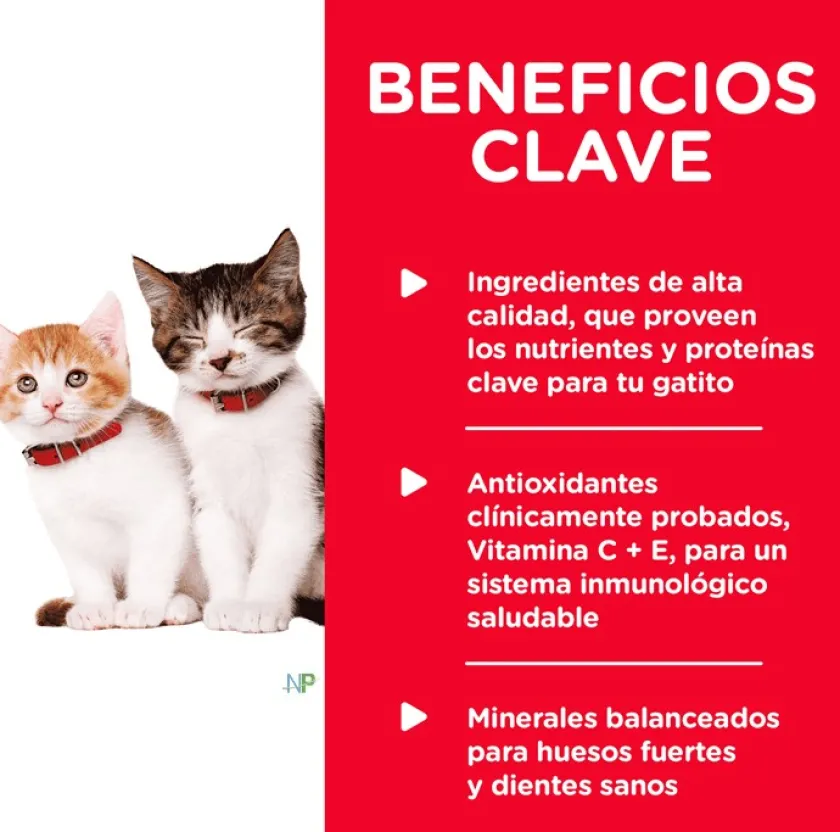 Hills Húmedos^Lata Cat Kitten - Receta de Higado de Pollo 156gr