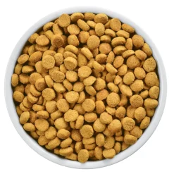 Hills Alimentación Medicada | Control Peso^r/d Felino Weight Loss 1.8kg