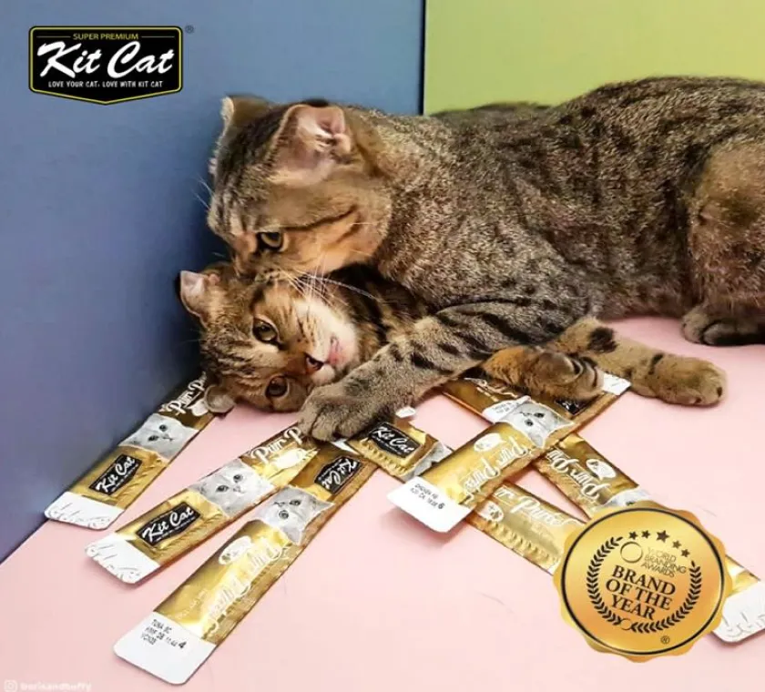 KIT CAT Galletas^Plus+ Tuna & Fiver Hairball 4 x15gr