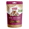 Living World Hámsters | Conejos^Bites Bouchées Quinoa 60gr