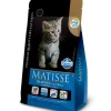 Matisse Gatitos (0 A 12 Meses)^Gatitos Filhotes (Gatitos) 2kg