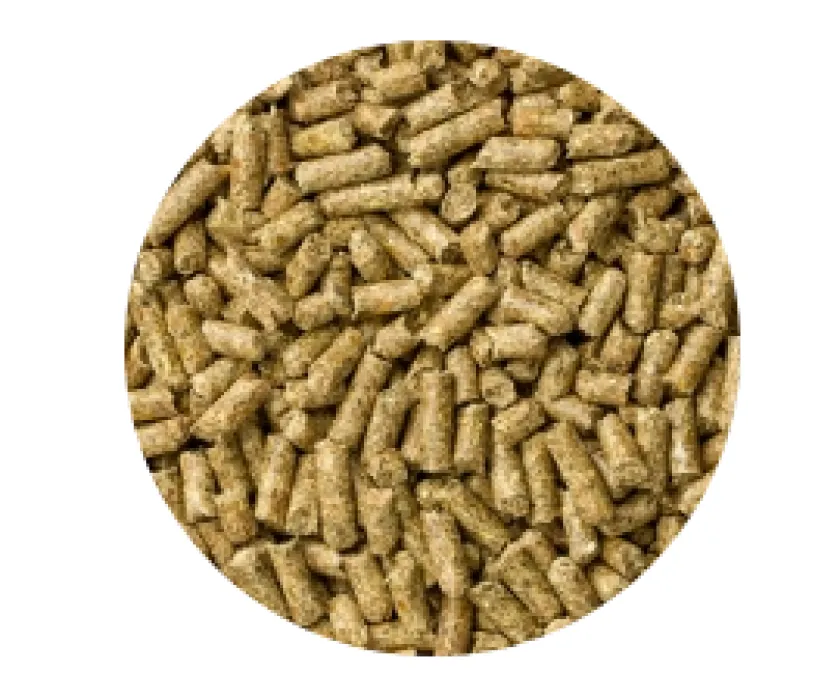 Mazuri Cobayos / Cuys^Cobayo Cuy 3kg