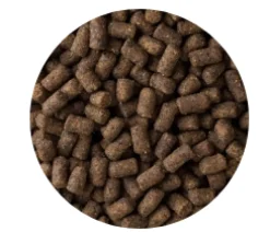 Mazuri Hurones^Hurón Ferret Diet 4.52kg
