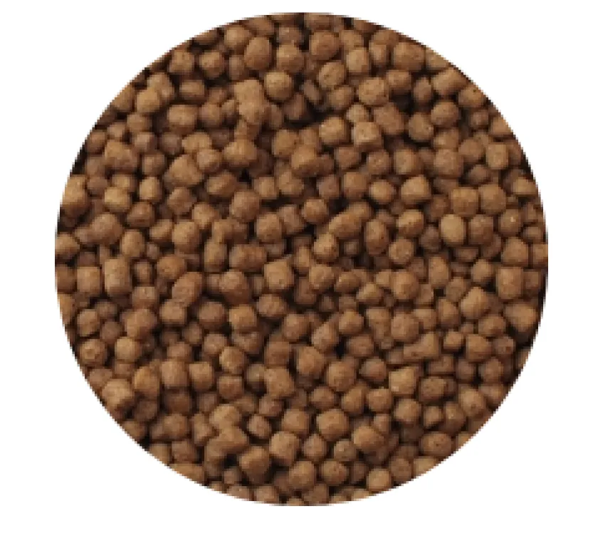 Mazuri Tortugas^Tortuga Acuática Turtle Diet 340gr