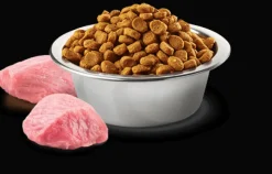 Nu0026D Gatitos (0 A 12 Meses)^Natural and Delicious Grain Free Feline Kitten Pollo y Granada 7.5kg