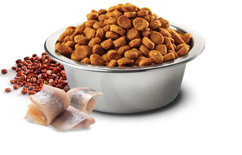 Nu0026D Adultos (1 A 7 Años)^Natural and Delicious Quinoa Skin Coat Arenque para Perros 10kg