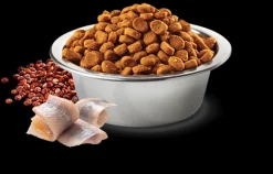 Nu0026D Adultos (1 A 7 Años)^Natural and Delicious Quinoa Feline Skin Coat Arenque 1.5kg