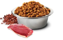 Nu0026D Adultos (1 A 7 Años)^Natural and Delicious Quinoa Feline Urinary Pato 1.5kg